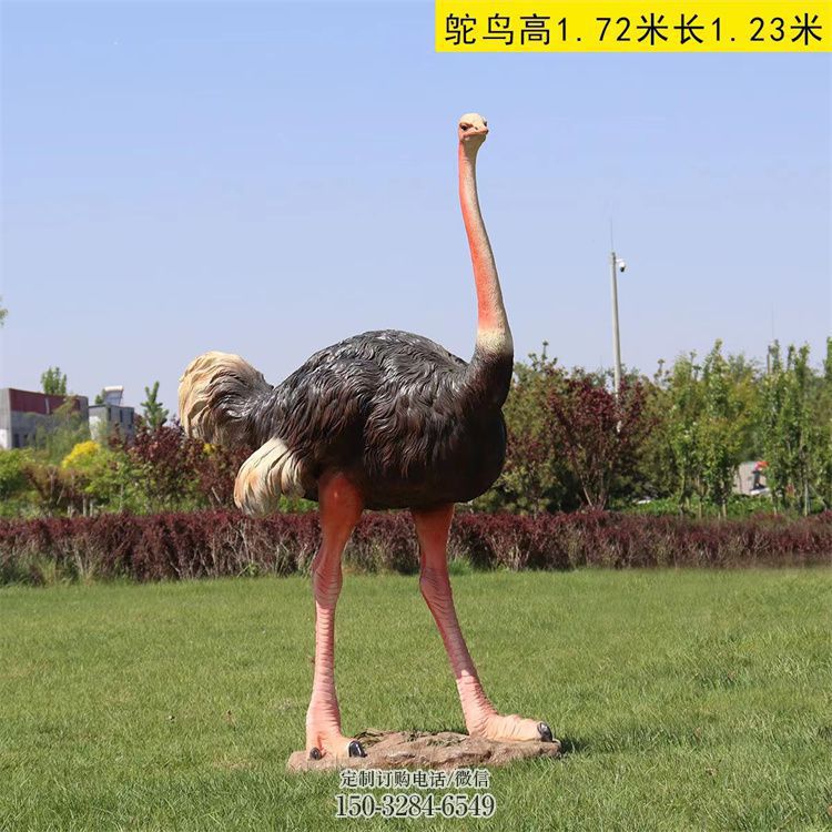玻璃钢仿真鸵鸟雕塑厂家,公园广场动物,大型园林小品 玻璃钢仿真鸵鸟雕塑厂家,公园广场动物,大型园林小品